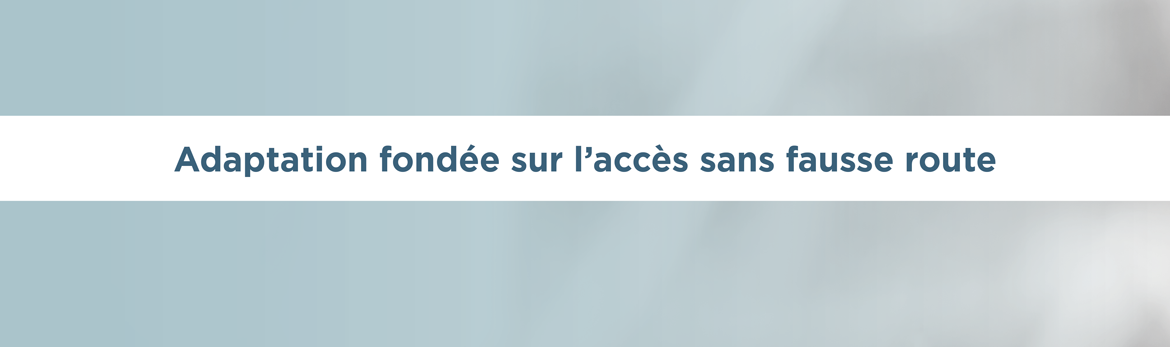 Adaptation fondée sur l’accès sans fausse route