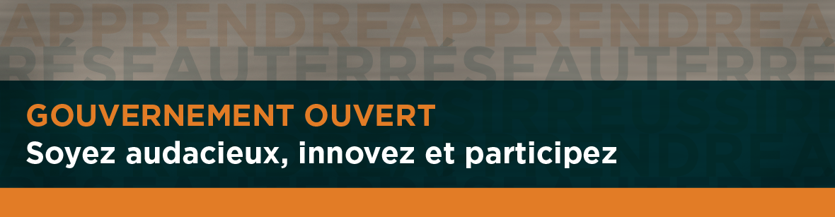 Gouvernement ouvert : soyez audacieux, innovez et participez — discussion informelle avec le ministre Tony Clement